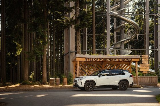 /media/12844/toyota_pocesku