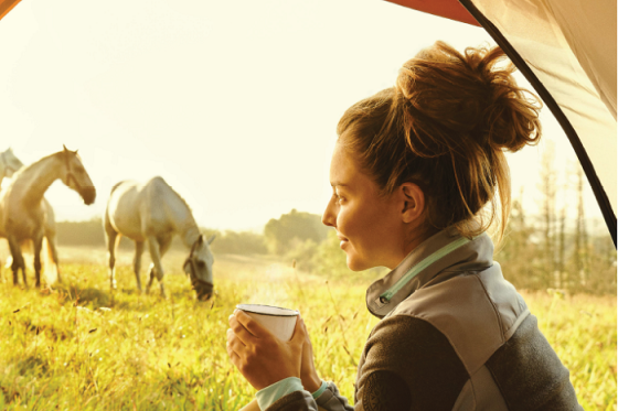 /media/18263/raiffeisenbanka