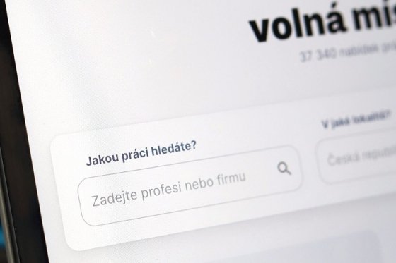 /media/22485/volnamista-cz_ilustracni-foto-1