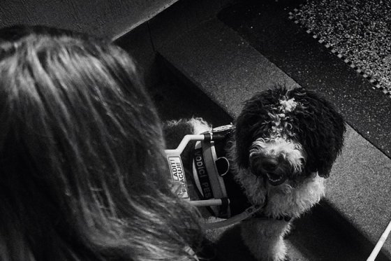 /media/1tdgudyv/helppes_2