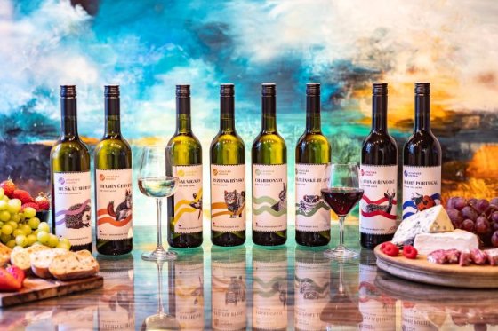 /media/dgzhizl0/vinařská-stezka-globus