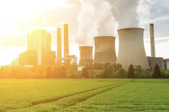 /media/nkib4ibx/tameh