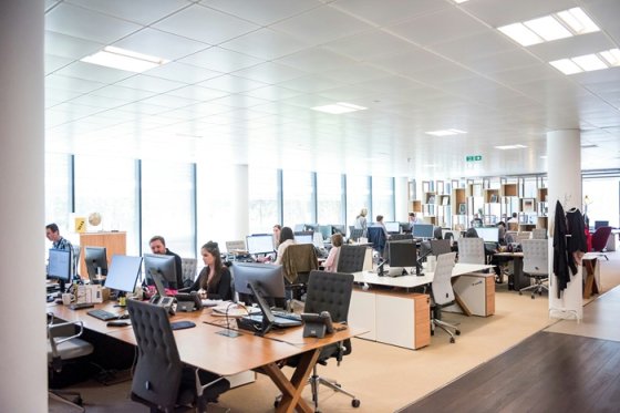 /media/nlzl31ou/kancelra_office-lide_tym_unsplash