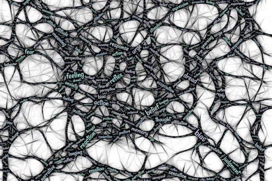 /media/10550/mindset_pixabay