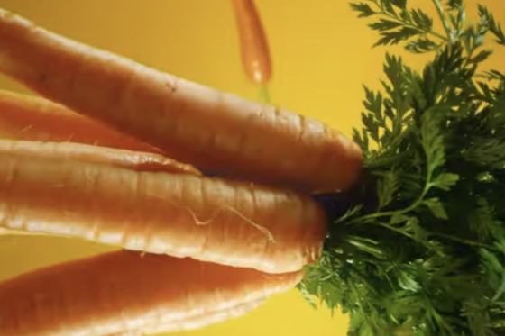 /media/s5hh2y4z/billa_cerstvostjeradost