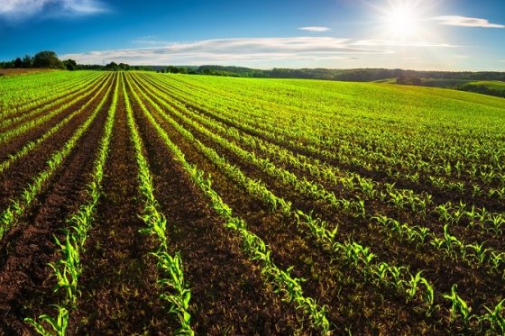 /media/17783/zemedelstvi_shutterstock