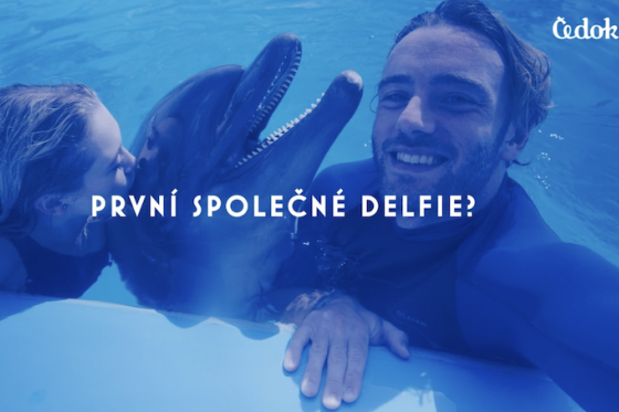 /media/b5nhbnmy/slider_cedok_delfie