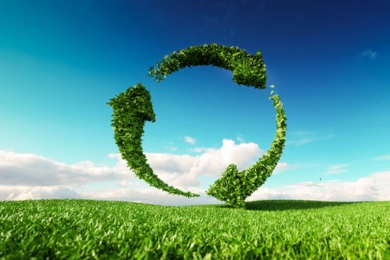 /media/14080/shutterstock_ekologie