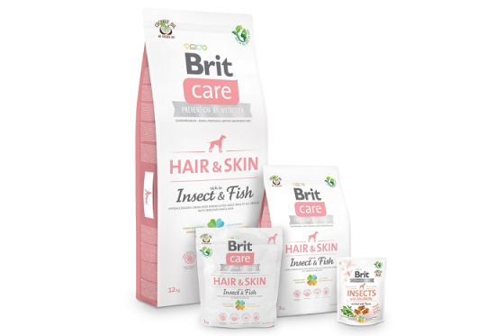 /media/19756/vafo_insect