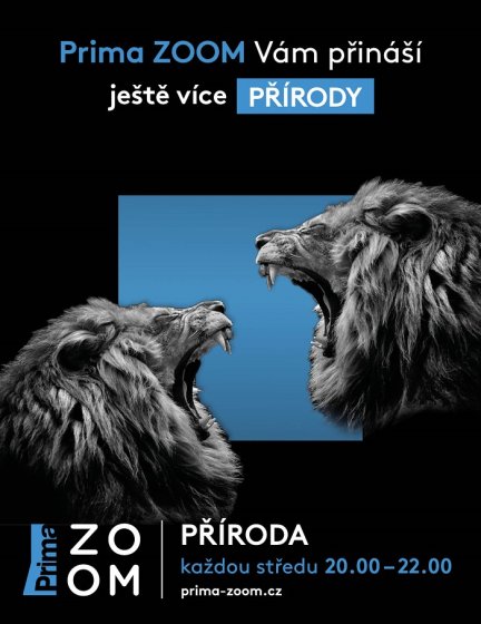 /media/14394/kampan_zoom_final_priroda