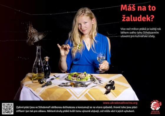 /media/23209/lov-ptáků-ve-středomoří_foto-lucie-čižmářová