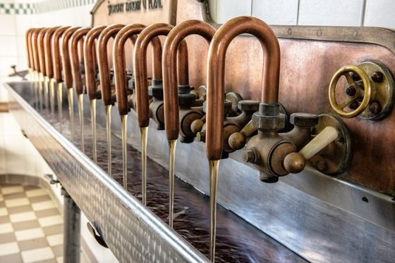 /media/21ilbtex/ferdinand_1