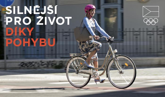 /media/13187/cov_vizualy-na-web-1