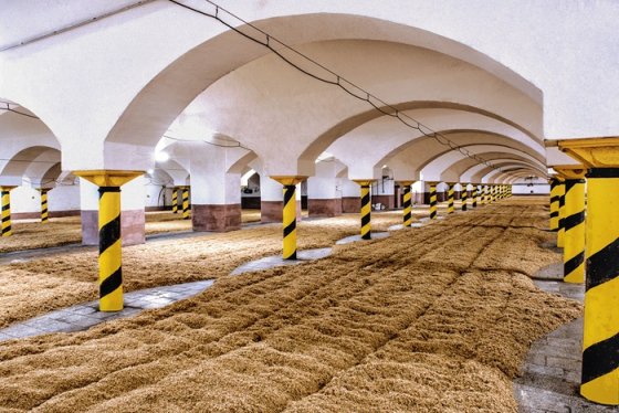 /media/qmxfovwr/ferdinand_3