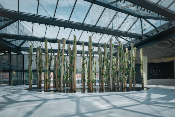 /media/17071/borislavka-2