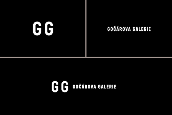 /media/23537/gocarovagalerie_1