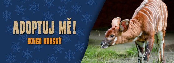 /media/25641/zoo-dvůr-králové