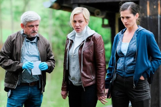 /media/23263/nova_odznak-vysocina