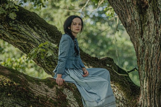 /media/14626/ct_bozena