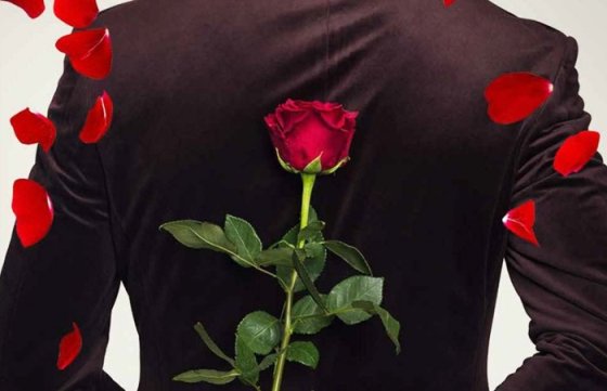 /media/wedieyxx/nova_bachelor