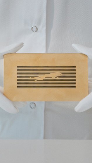 /media/tnofpeal/jaguar_makers_mark_leaper_portrait_191124