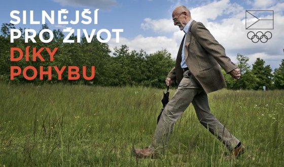 /media/13192/cov_vizualy-na-web-3