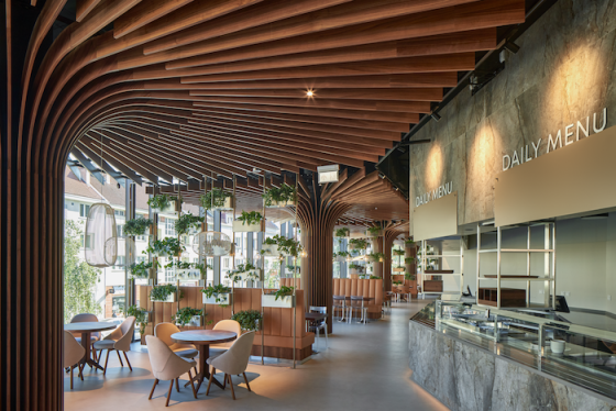 /media/17070/borislavka-1