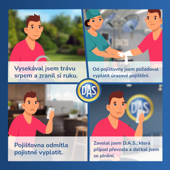 /media/22602/das_vizual_ukazka_2