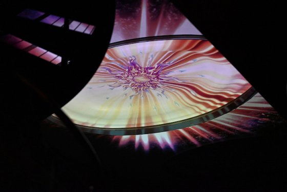 /media/25296/dsc_6451