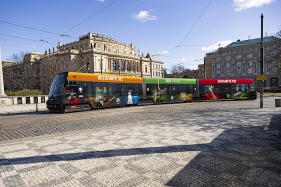 /media/25638/zoo-praha-tramvaj