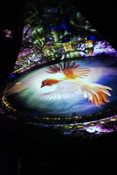 /media/25297/dsc_6452