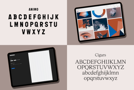 /media/23539/gocarovagalerie_3