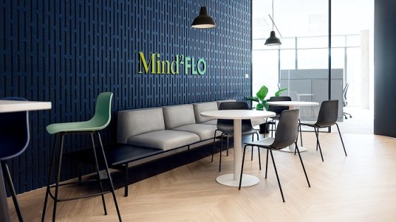 /media/20578/mind2flo