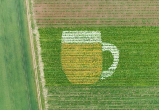 /media/25192/plzenskyprazdroj_obri-pullitr-z-kytek