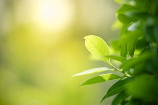 /media/8522/ekologie_shutterstock