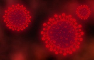/media/12057/koronavirus