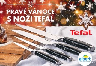 /media/14630/albert_2020_tefal