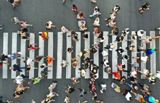 /media/13307/lide_shutterstock