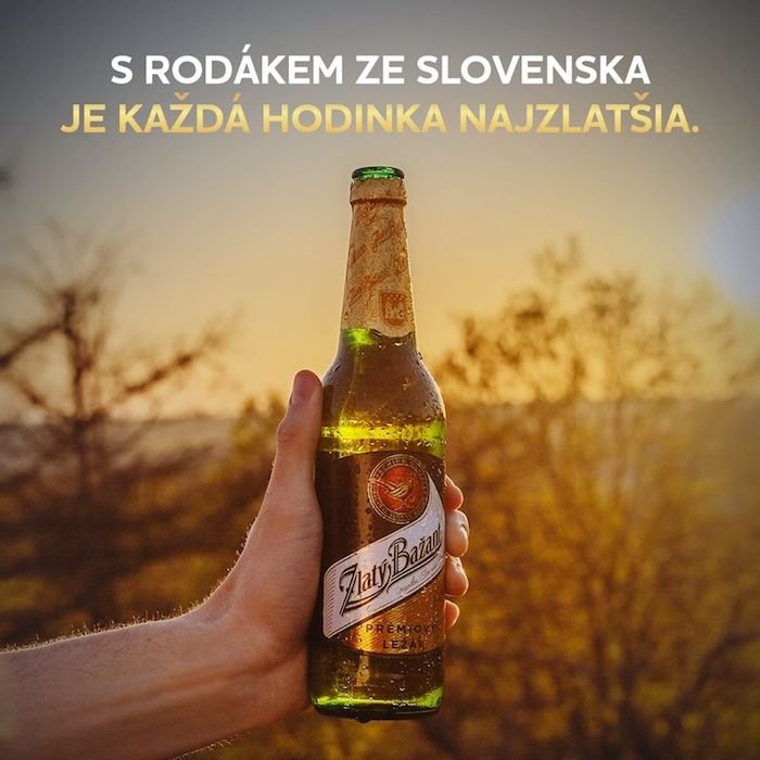 /media/12871/zlatýbažant_rodák