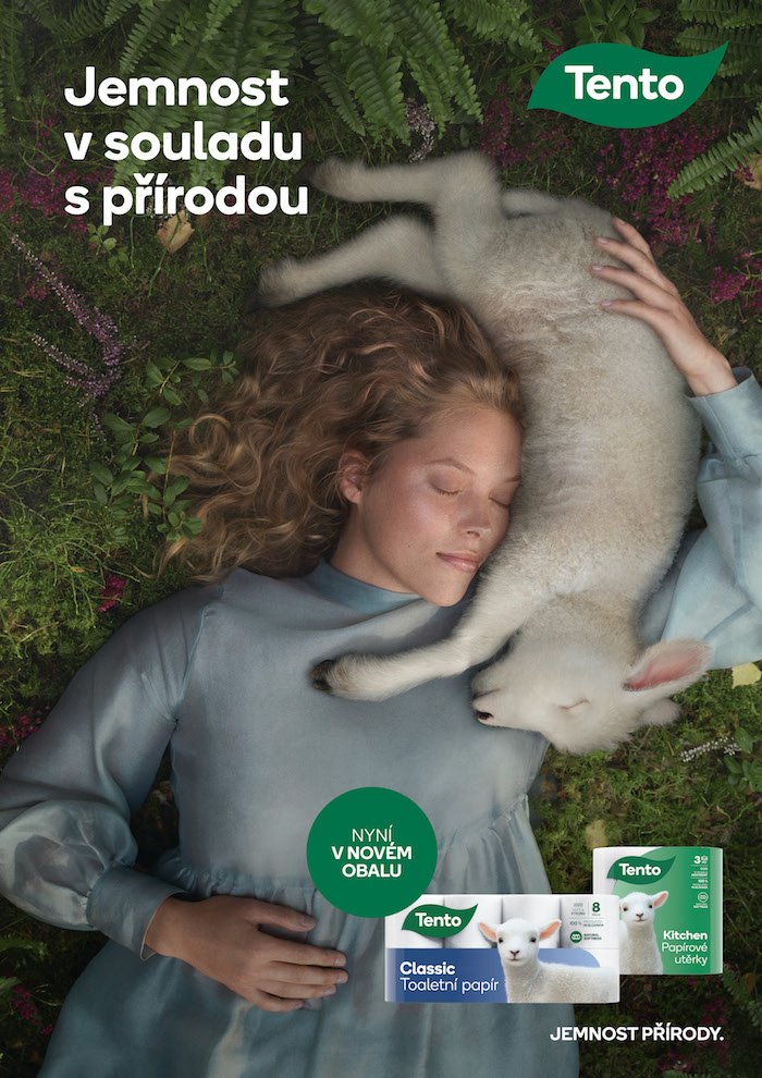 /media/16419/tento_rebranding_1