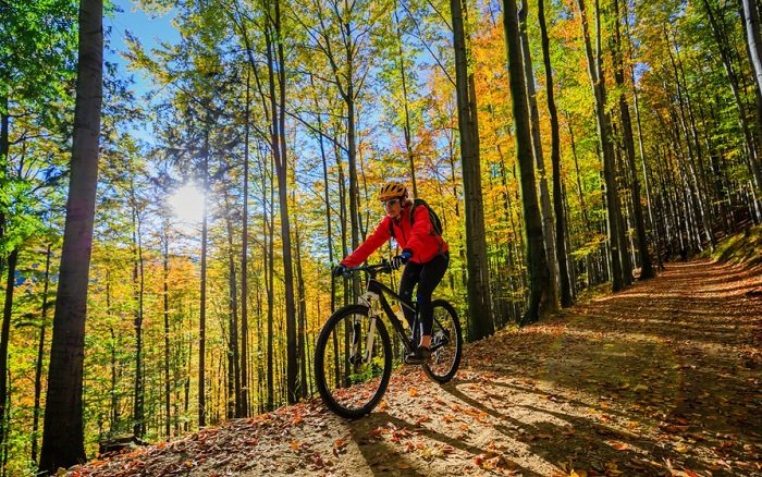 /media/20422/kolo_shutterstock