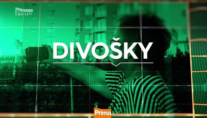/media/12639/divosky