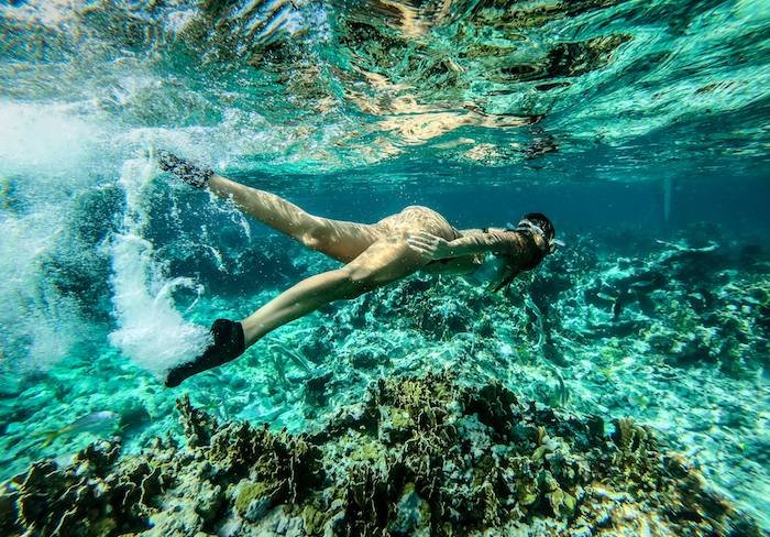 /media/14465/skinners