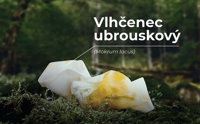 /media/8670/krnap_vlhčenec-ubrouskový