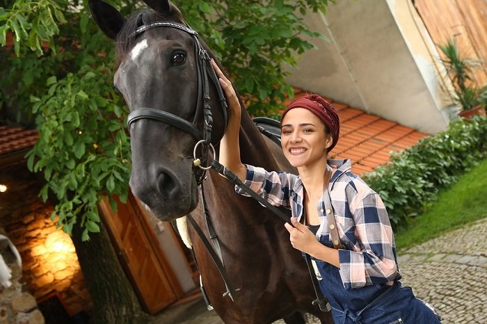 /media/11429/slunecna_3