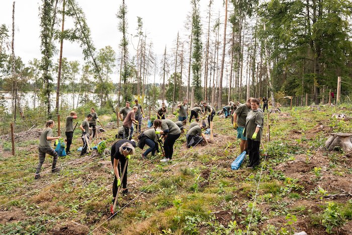 /media/zxcdcode/lidlles