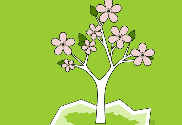 /media/flrhq2ci/air-bank_kde-kvete-laska