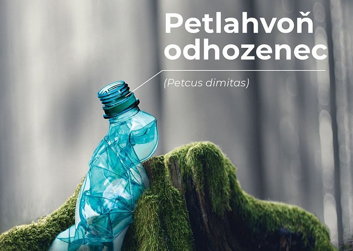 /media/8668/krnap_petlahvoň-odhozenec