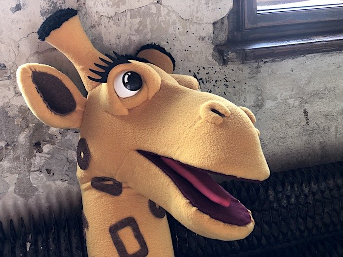 /media/11665/zonky_2