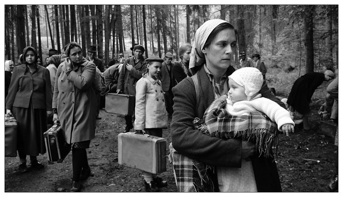 /media/15468/krajina-ve-stinu_foto_m